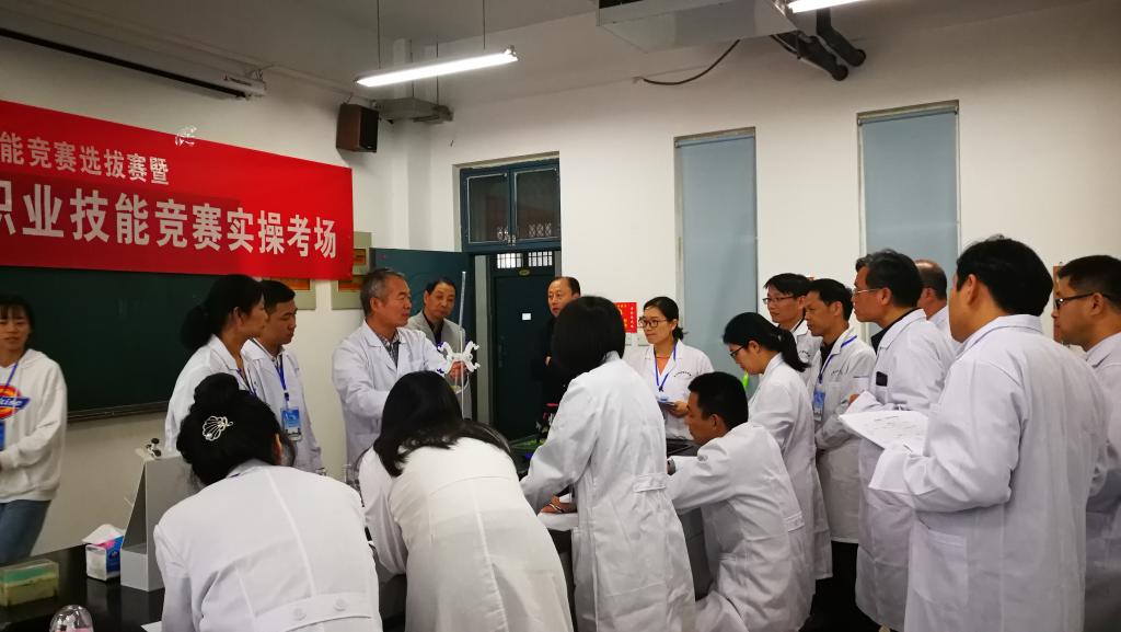 裁判员培训