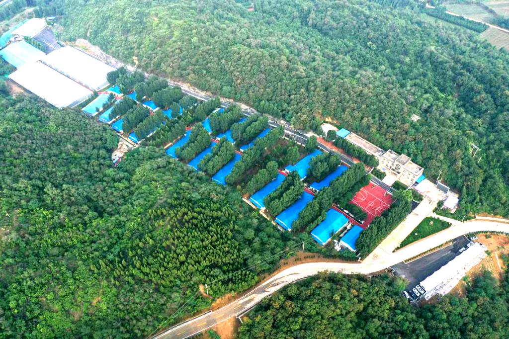 标准化养殖基地