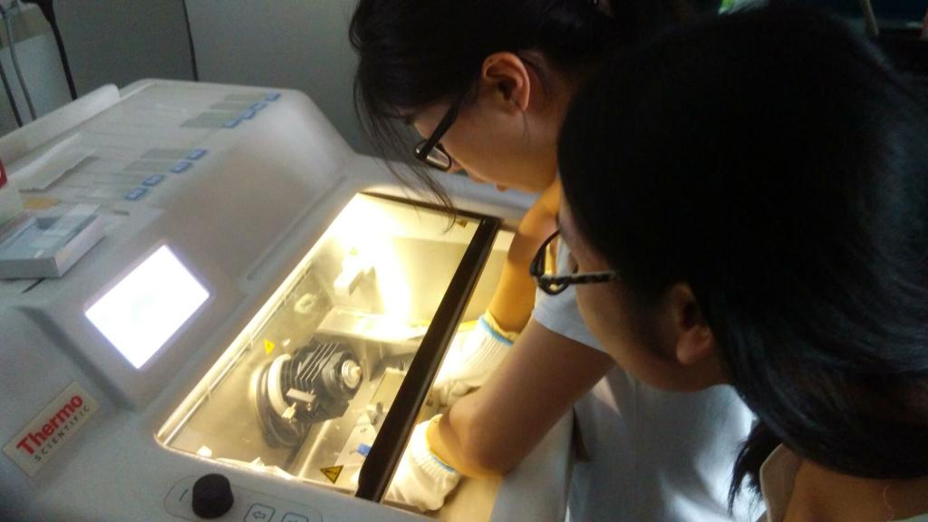 首次尝试 小心翼翼