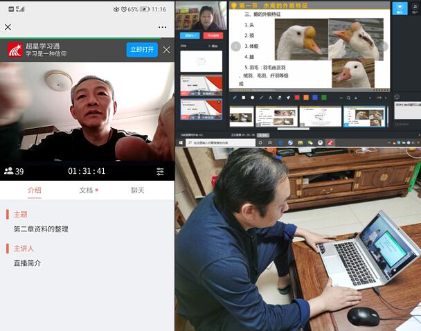 教师网络教学