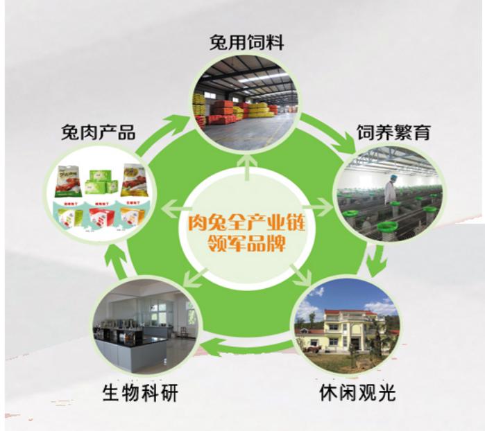全产业链图