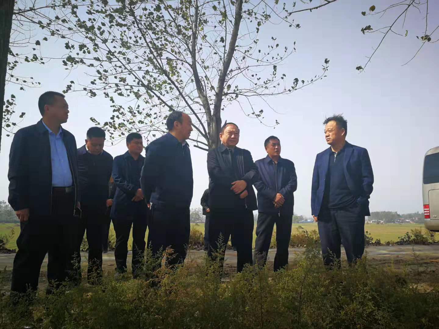 参观沈丘县汾河边牧草种植基地