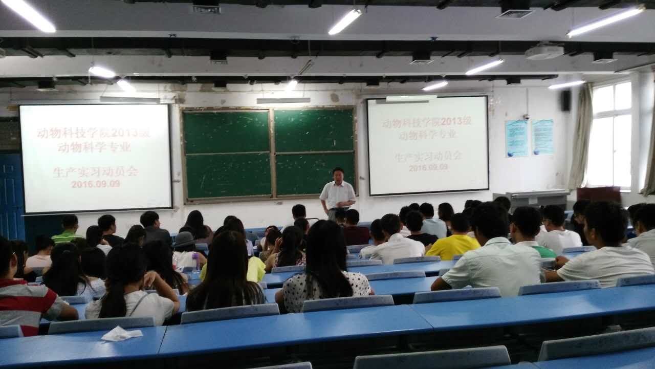 黄炎坤院长总结讲话