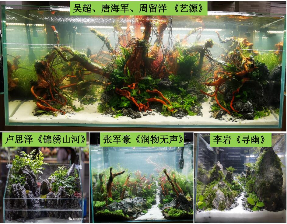 学生参赛作品